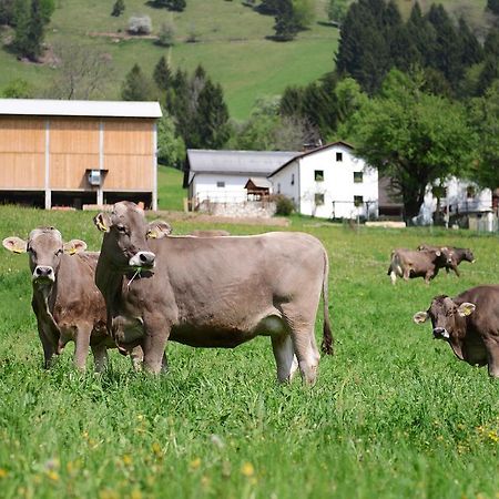 Ekoloska Turisticna Kmetija Pri Lovrcu Tolmin Exterior photo